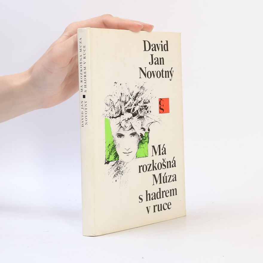 David Jan Novotný Má rozkošná Múza s hadrem v ruce