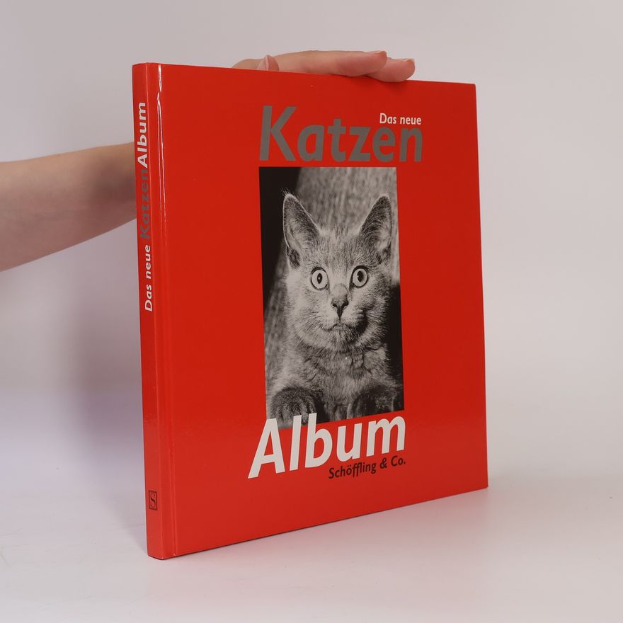 Julia Bachstein Das neue Katzen-Album