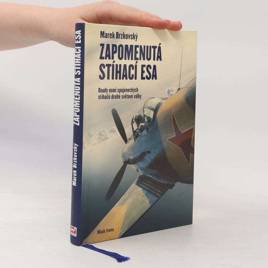 Marek Brzkovský Zapomenutá stíhací esa
