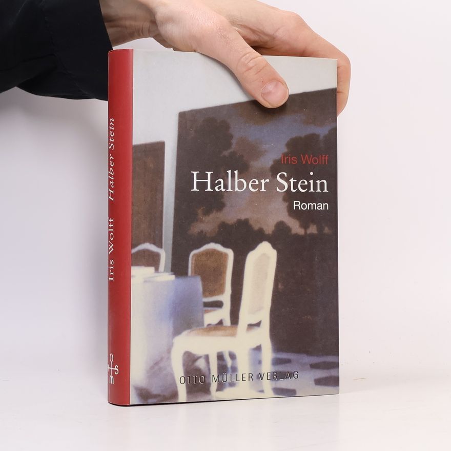 Iris Wolff Halber Stein