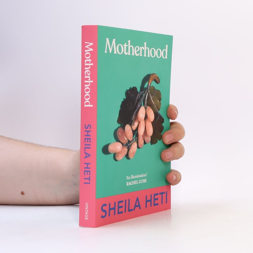 Sheila Heti Motherhood