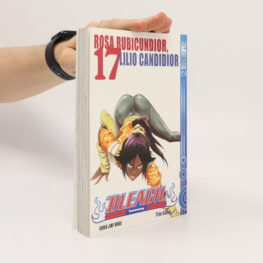 Tite Kubo Bleach 17