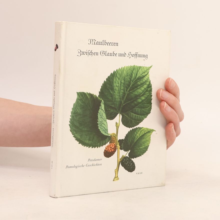 Marina Heilmeyer Maulbeeren - zwischen Glaube und Hoffnung