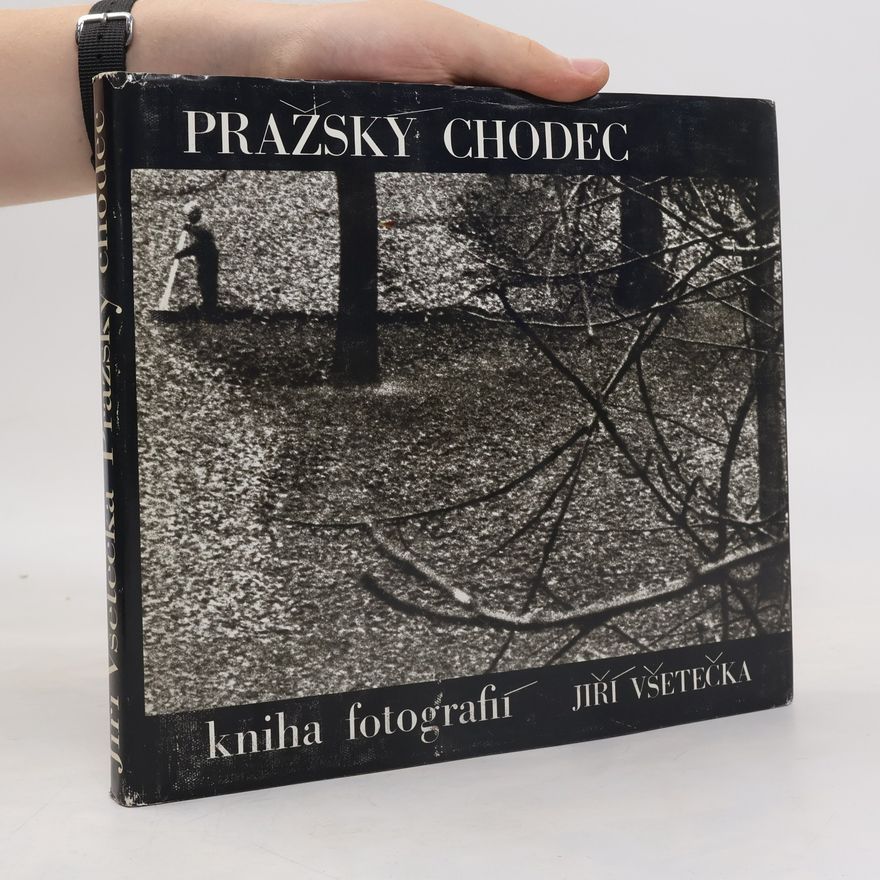 Jiří Všetečka Pražský chodec