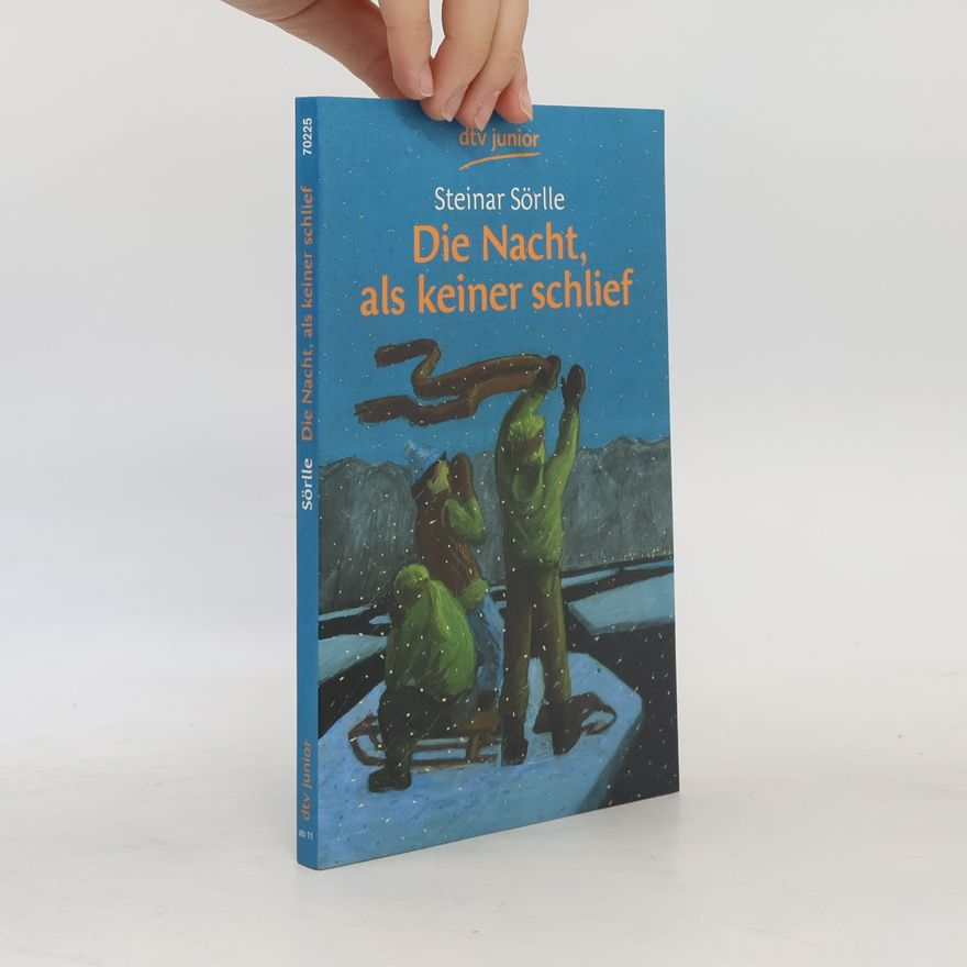 Steinar Sörlle Die Nacht, als keiner schlief