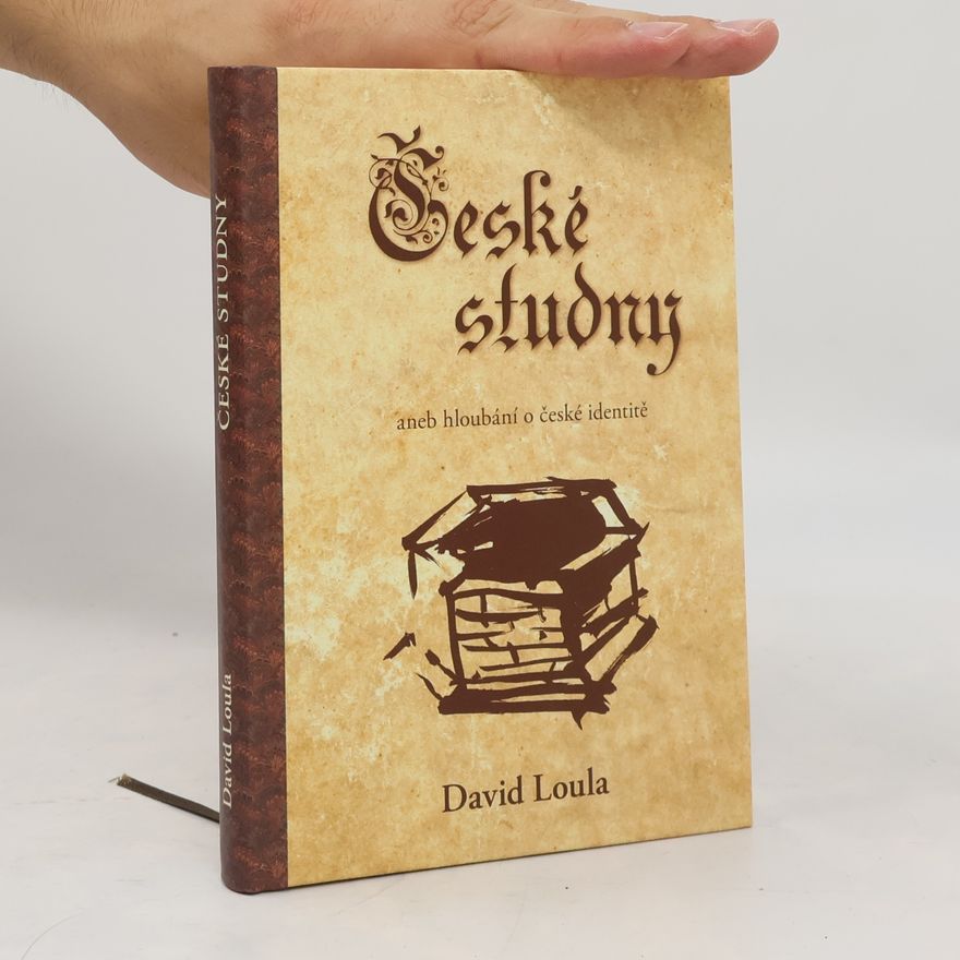 David Loula České studny, aneb, Hloubání o české identitě