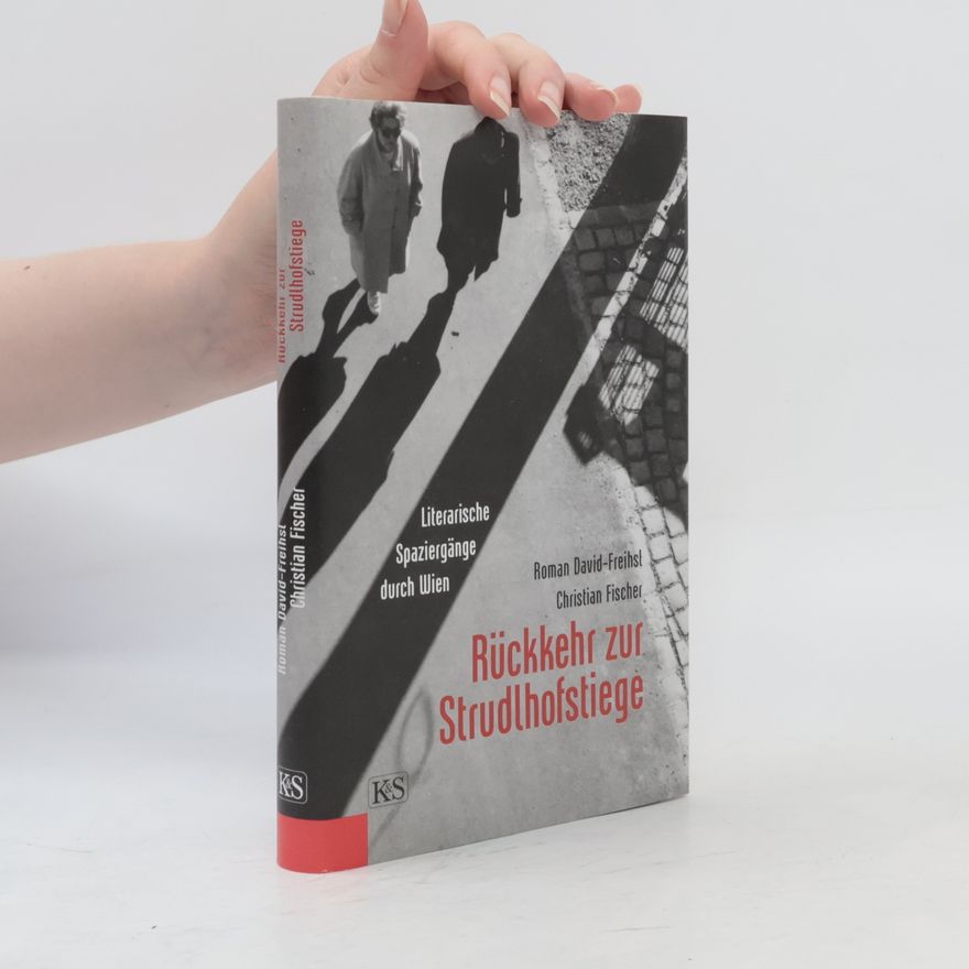 Roman David Rückkehr zur Strudlhofstiege