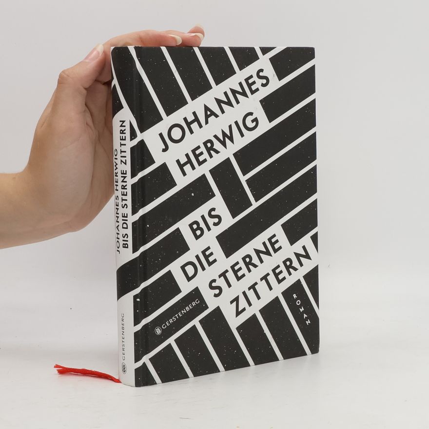 Johannes Herwig-Lempp Bis die Sterne zittern