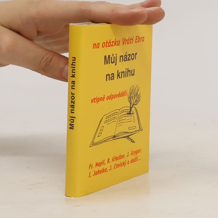 Vratislav Ebr Můj názor na knihu