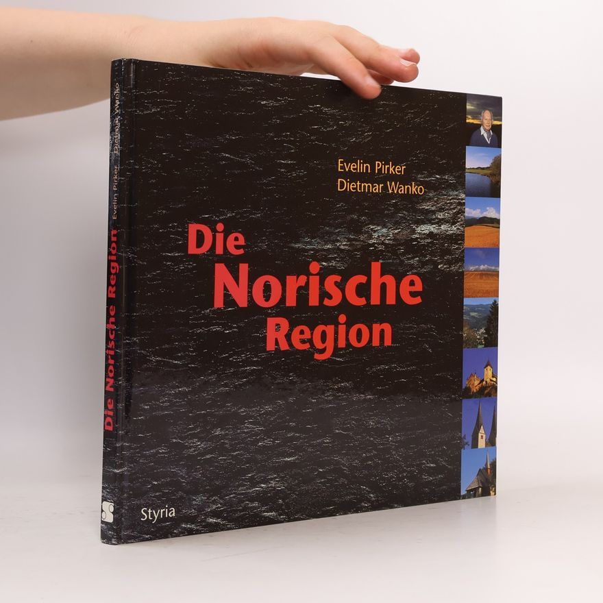 Evelin Pirker Die norische Region