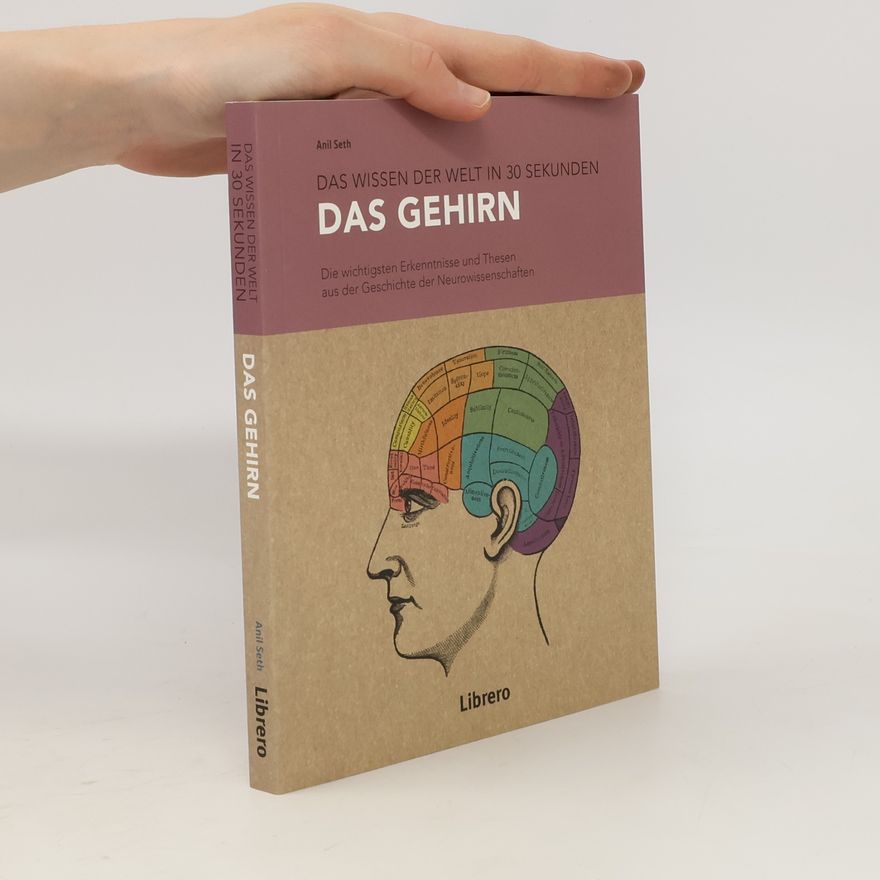 Anil Seth Das Gehirn