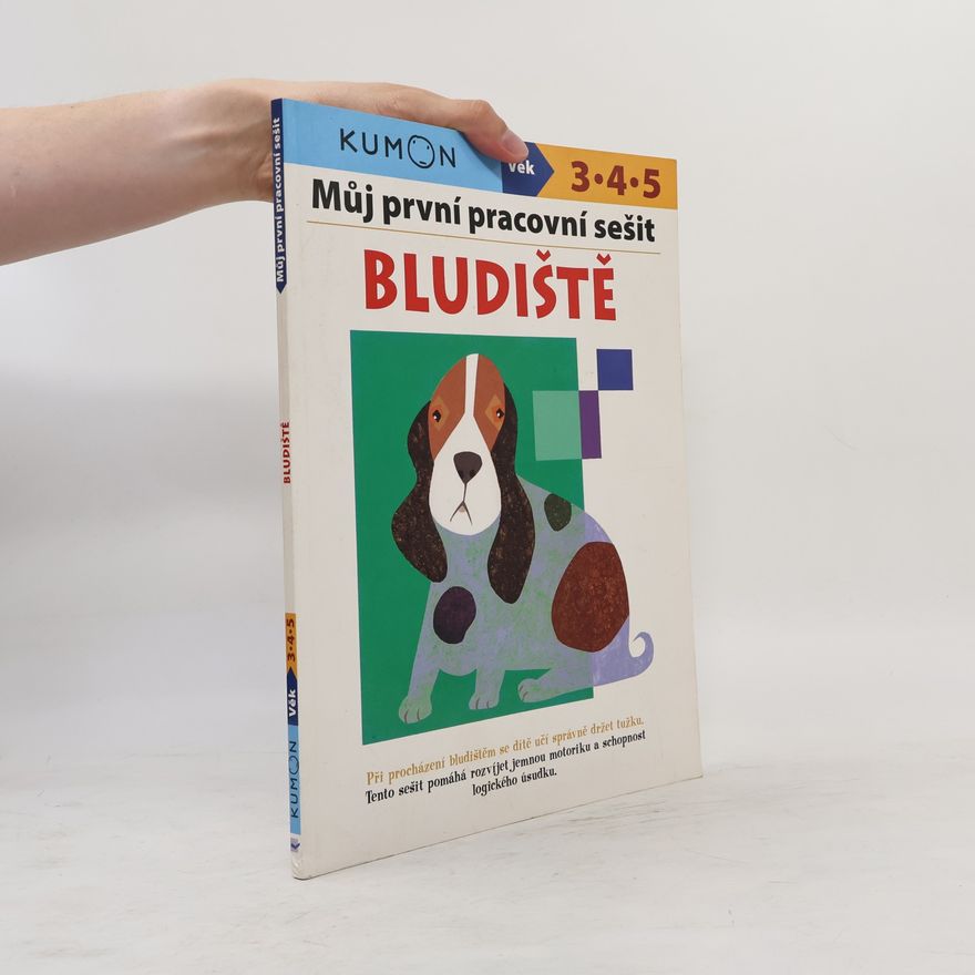 Toshihiko Karakida Bludiště - Můj pracovní sešit