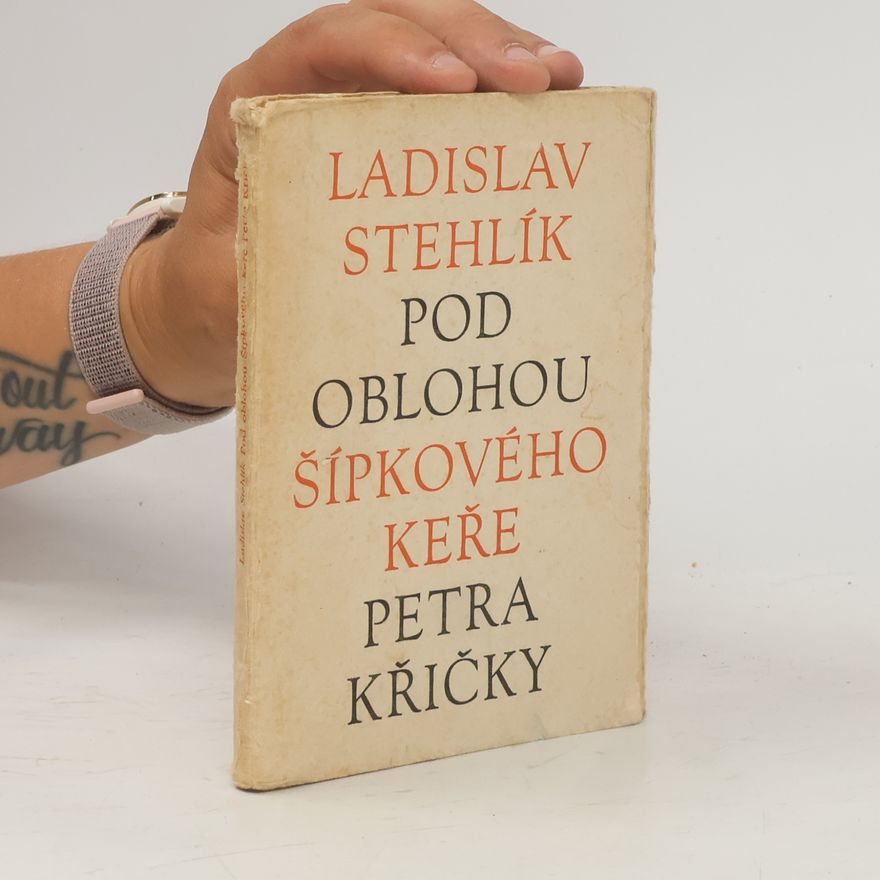 Ladislav Stehlík Pod oblohou Šípkového keře Petra Křičky