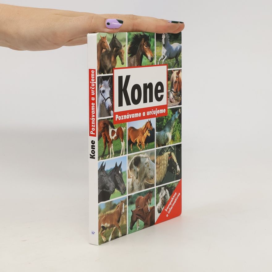 Kolektív autorov Kone