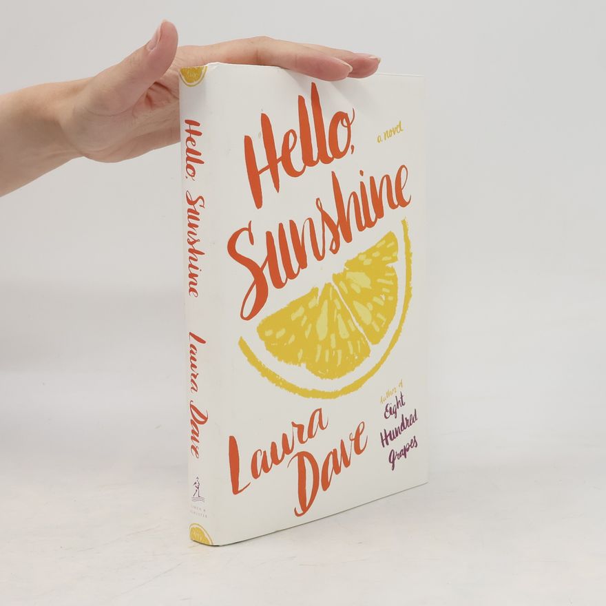 Laura Dave Hello, Sunshine