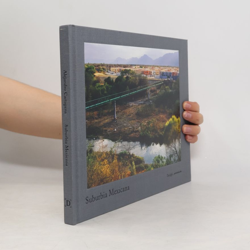 Karen Irvine Suburbia Mexicana