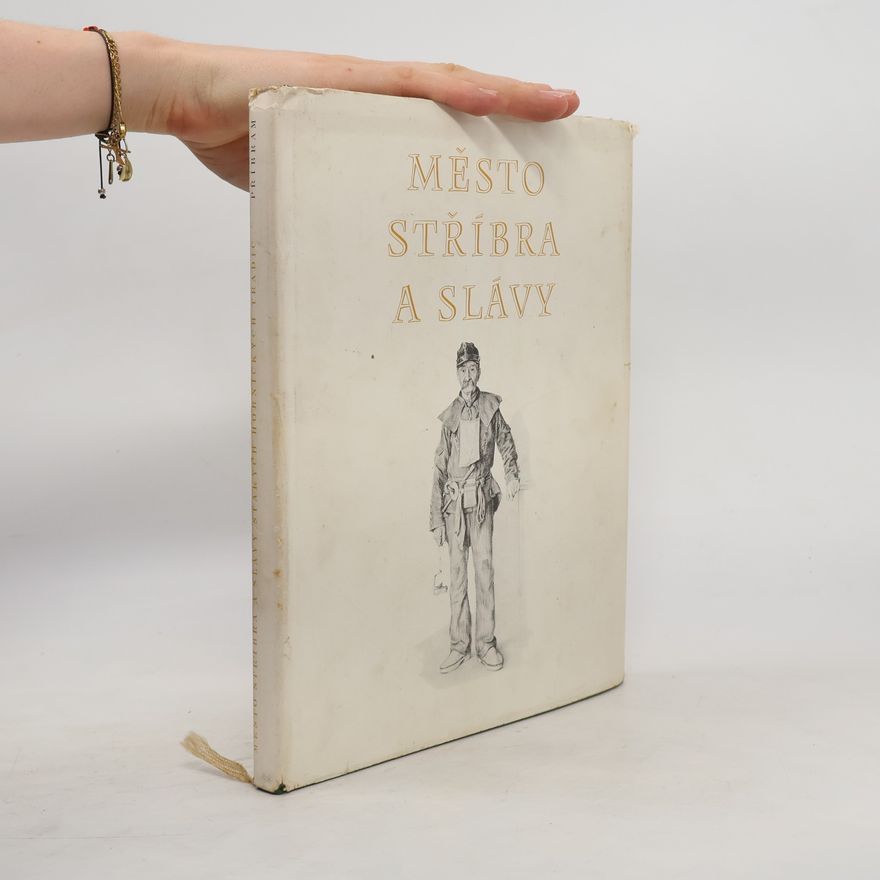 Autorenkollektiv Město stříbra a slávy starých hornických tradic