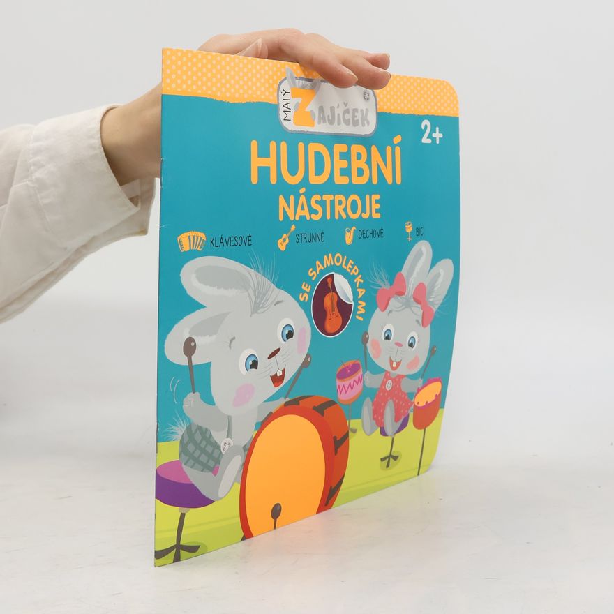 Autorenkollektiv Hudební nástroje - Malý zajíček