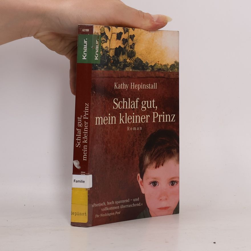 Kathy Hepinstall Schlaf gut, mein kleiner Prinz