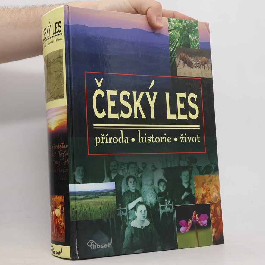 Vladislav Dudák Český les