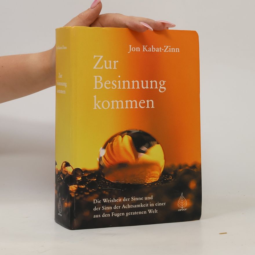 Jon Kabat-Zinn Zur Besinnung kommen