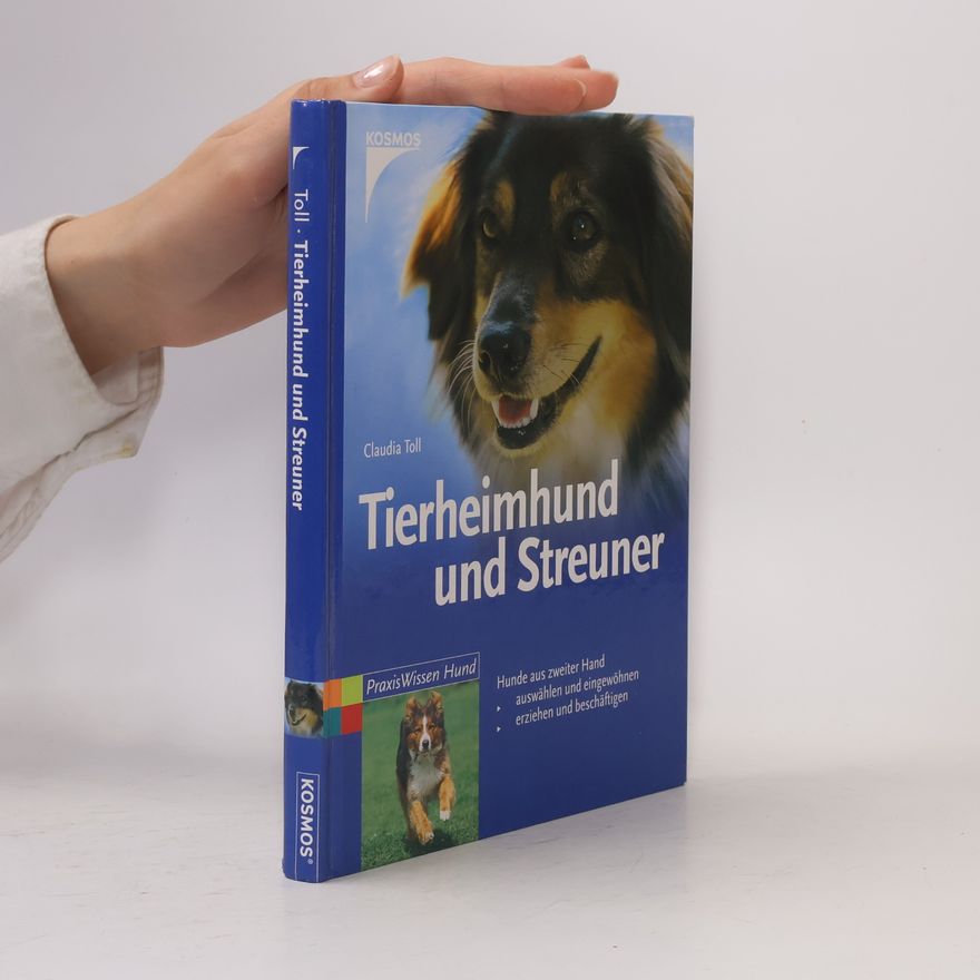 Claudia Toll Tierheimhund und Streuner