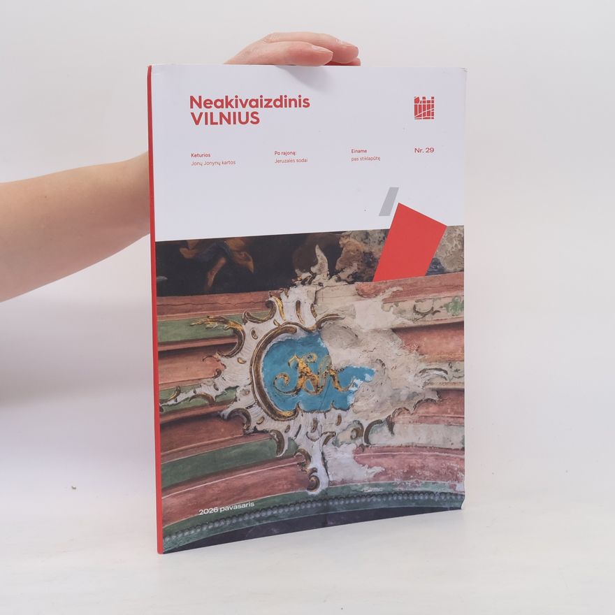 Kolektív autorov Neakivaizdinis Vilnius 29