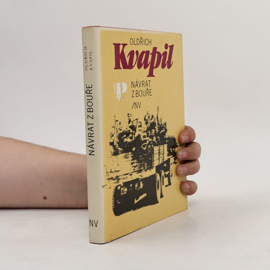 Oldřich Kvapil Návrat z bouře
