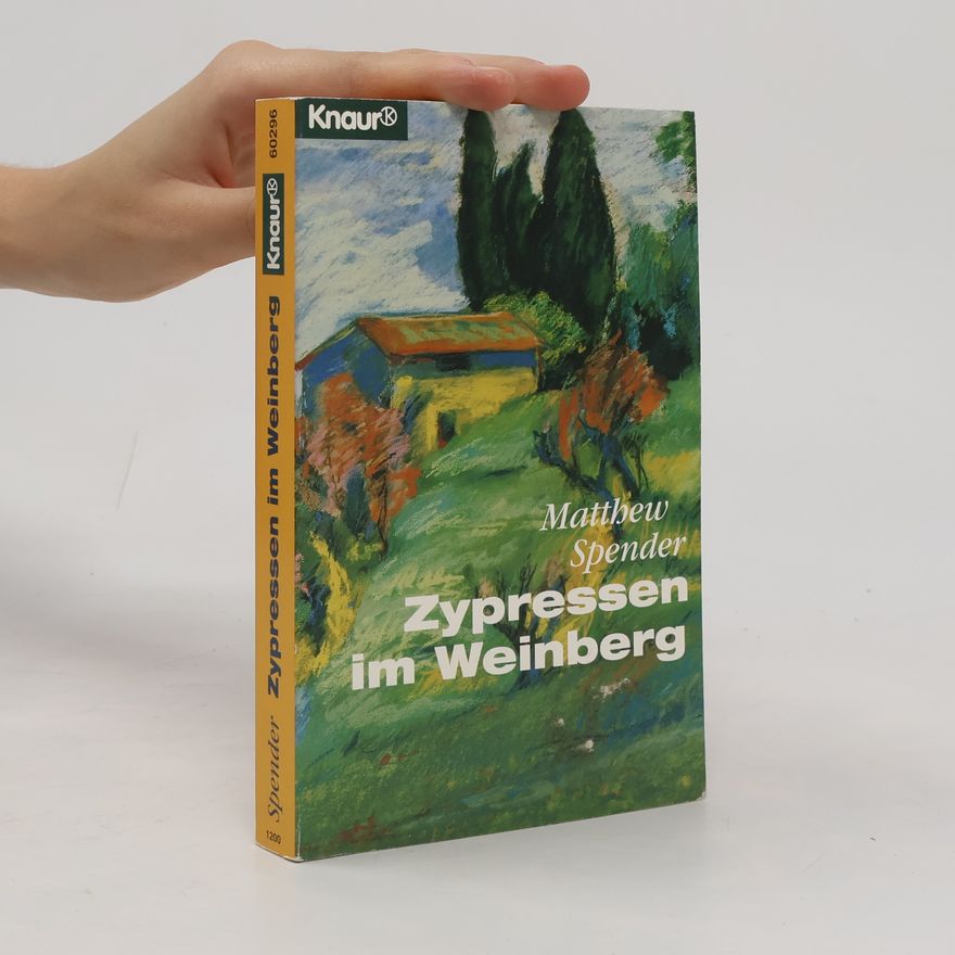 Matthew Spender Zypressen im Weinberg