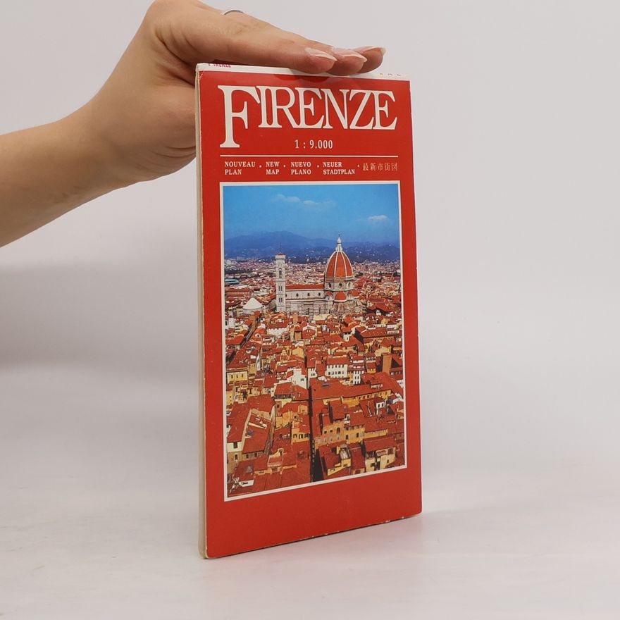 Litografia Artistica Cartografica Florence City Map (Firenze)