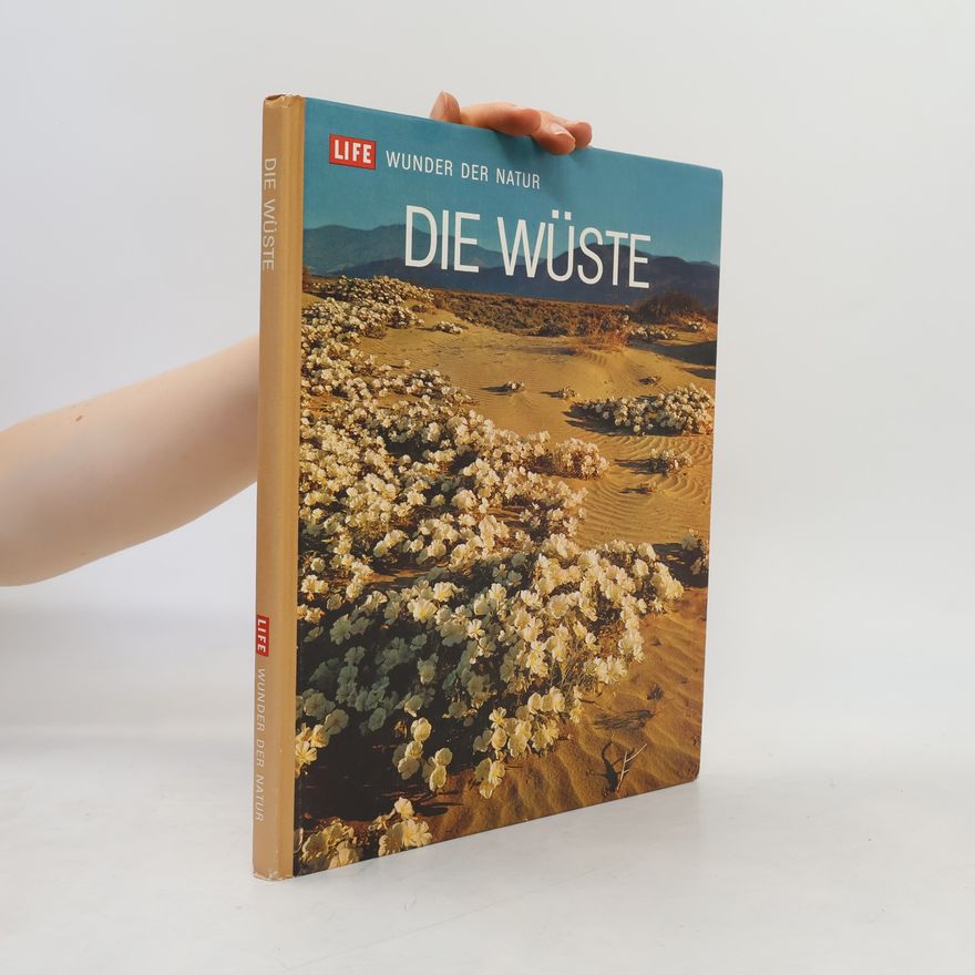 kolektiv Die Wüste