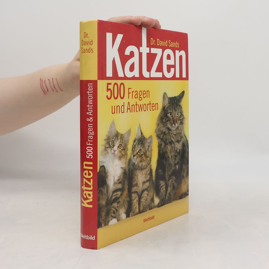 David Sands Katzen