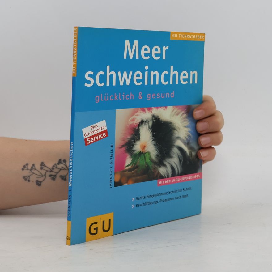kolektiv Meer Schweinchen