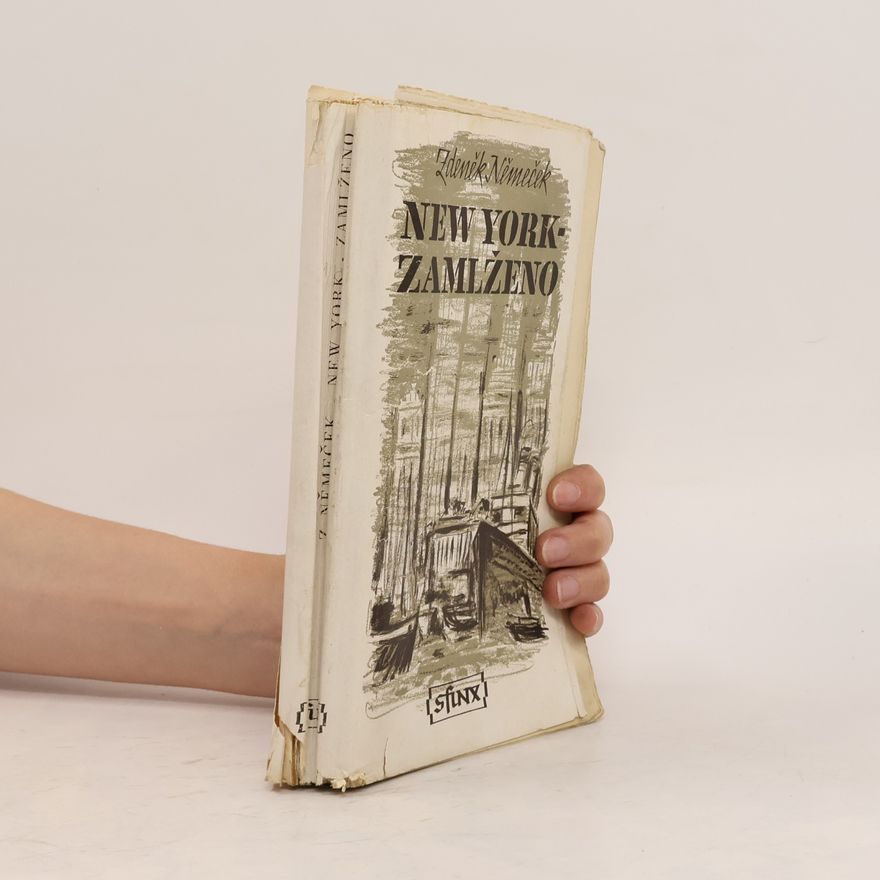 Zdeněk Němeček New York zamlženo