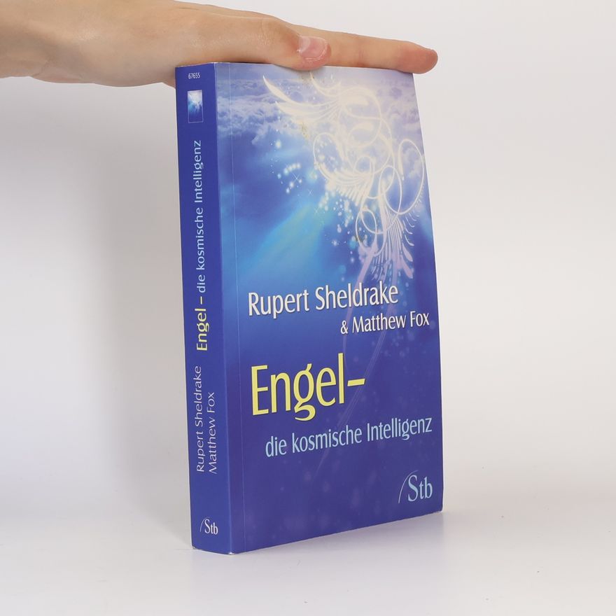 Matthew Fox Engel - die kosmische Intelligenz