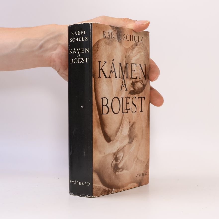 Karel Schulz Kámen a bolest