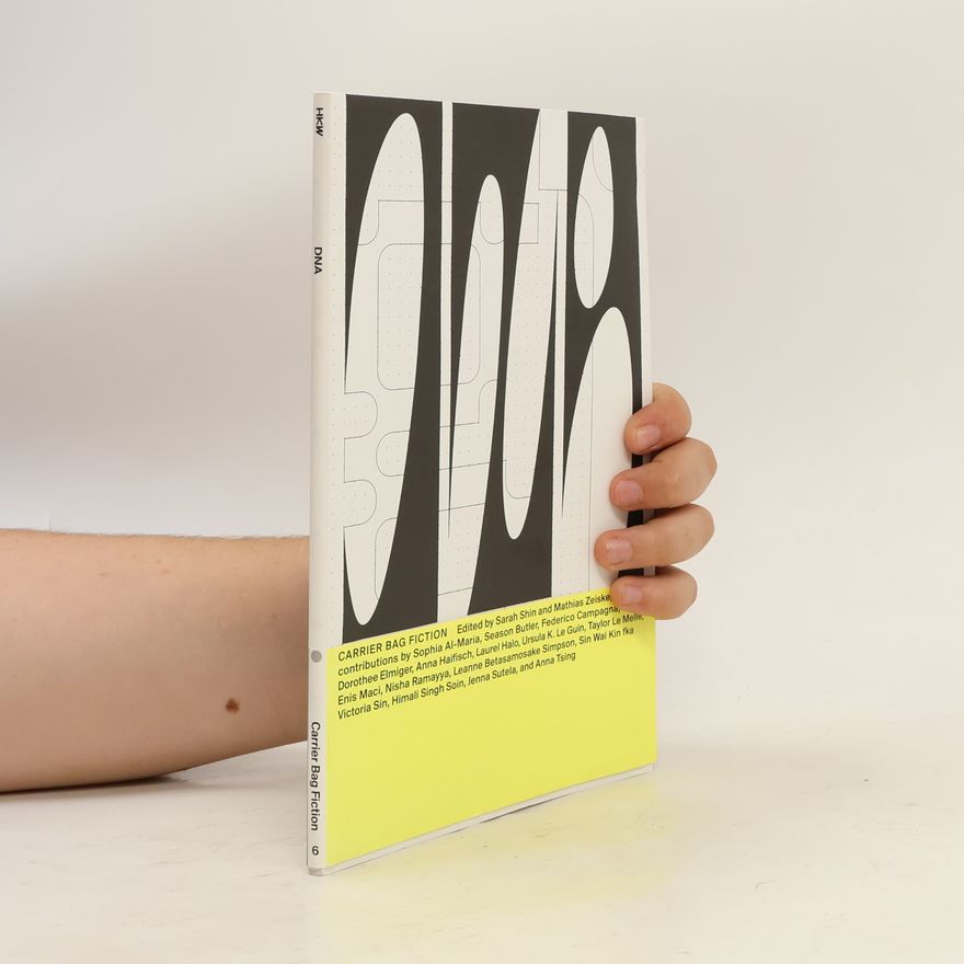 Sarah J. Shin Carrier Bag Fiction