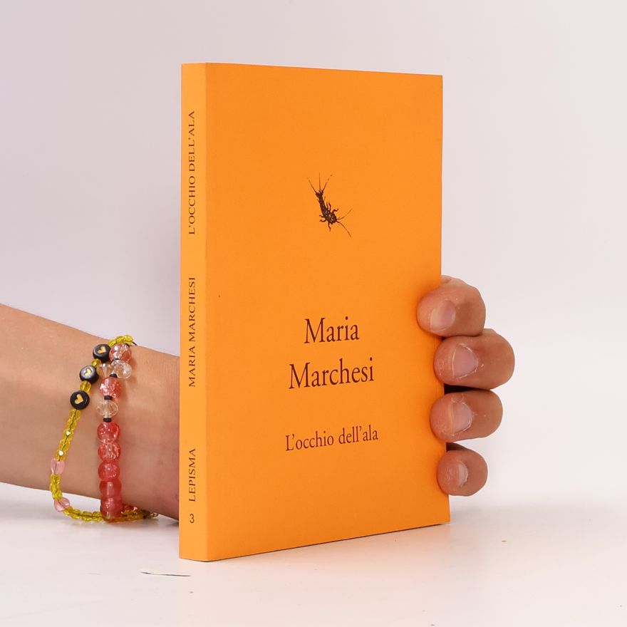 Maria Marchesi L'occhio dell'ala