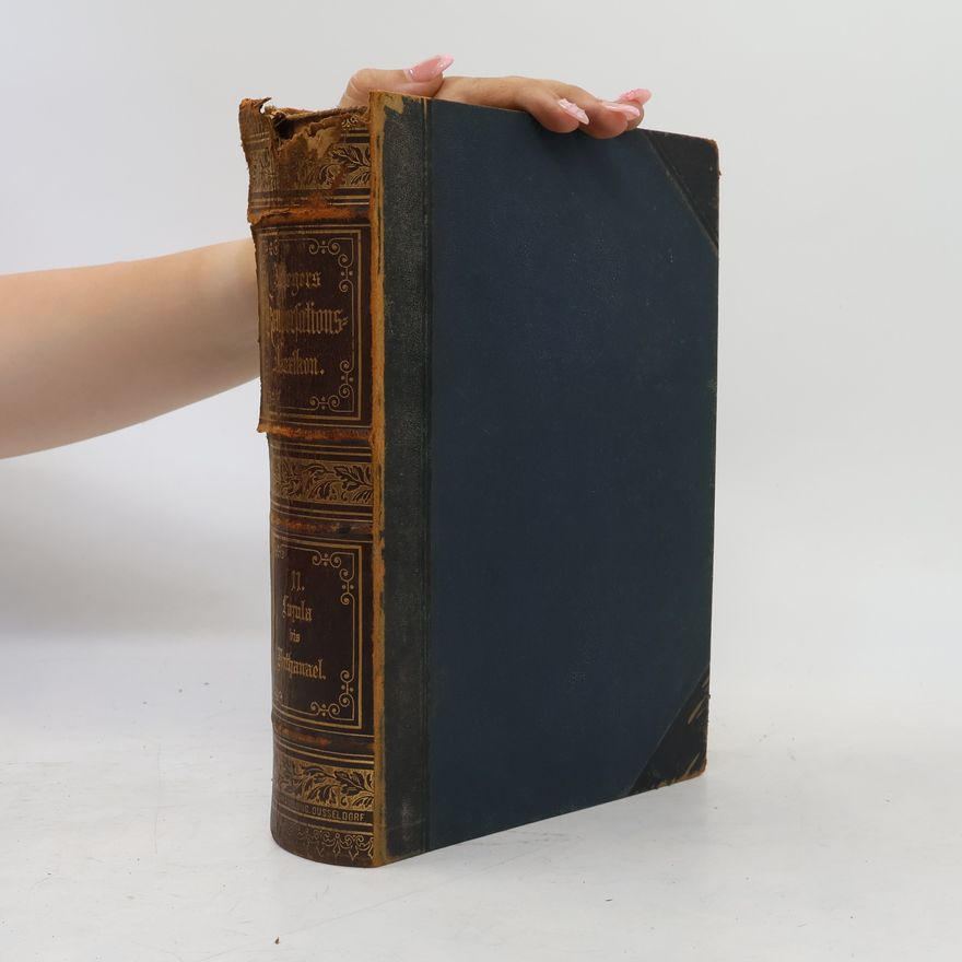 Various authors Meyers Konversations-Lexikon. Elfer Band