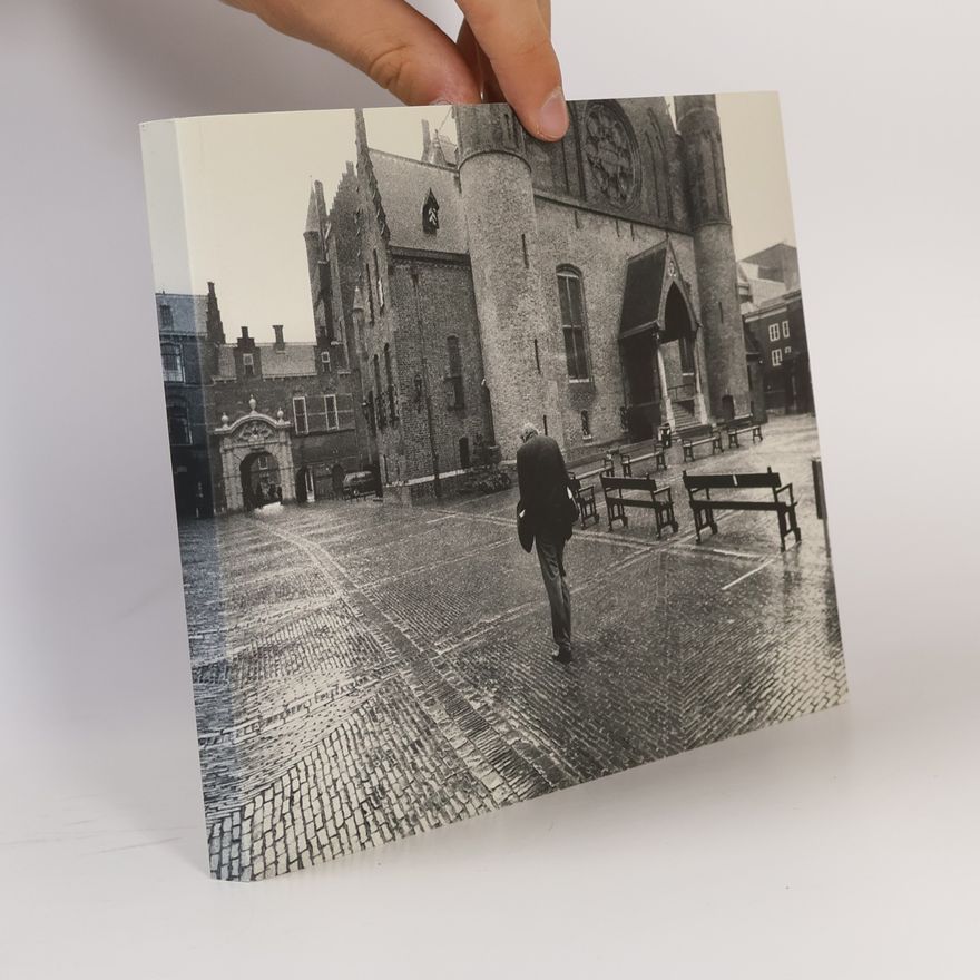 Ronaldus Quirinus Jacobus Rozenburg Heen en weer naar het Binnenhof