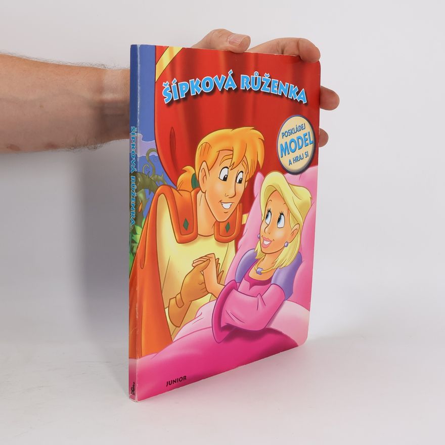 Kolektiv autorů Šípková Růženka - Poskládej model a hraj si!