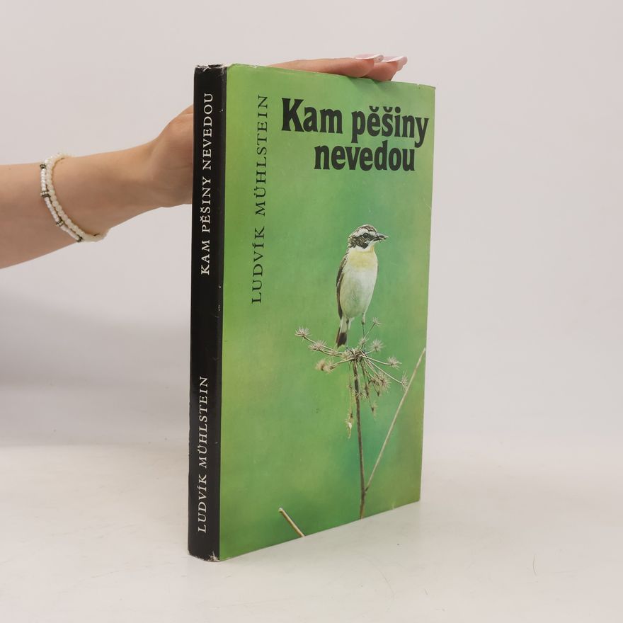 Ludvík Mühlstein Kam pěšiny nevedou
