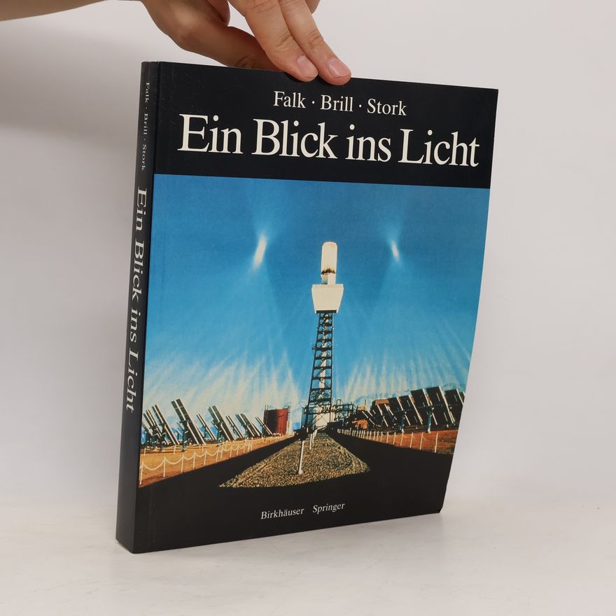 Dieter R Brill Ein Blick ins Licht