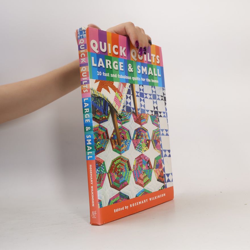 Rosemary Wilkinson Quick Quilts: Large & Small