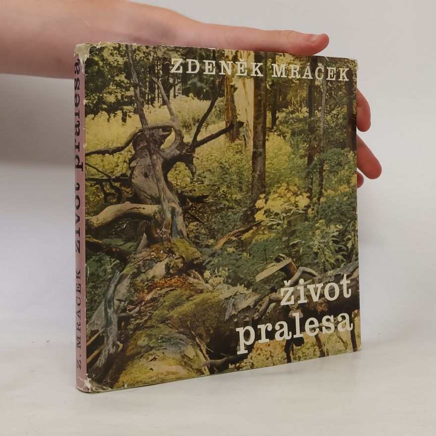 jan Majer Život pralesa