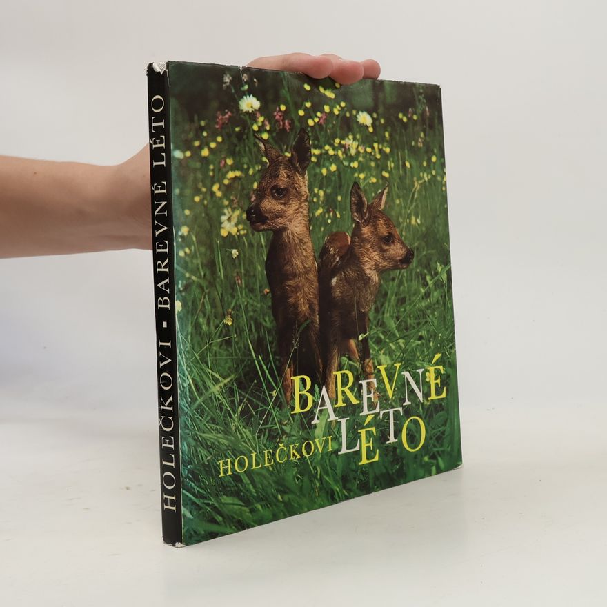 Autorenkollektiv Barvené léto