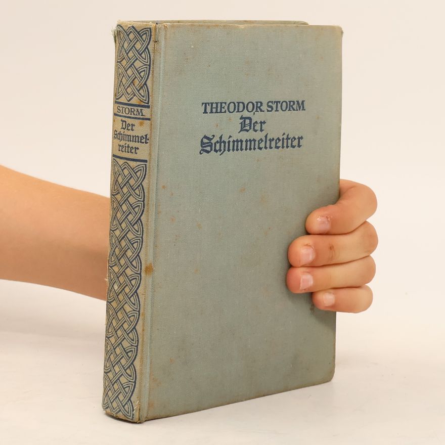 Hans Theodor Woldsen Storm Der Schimmelreiter