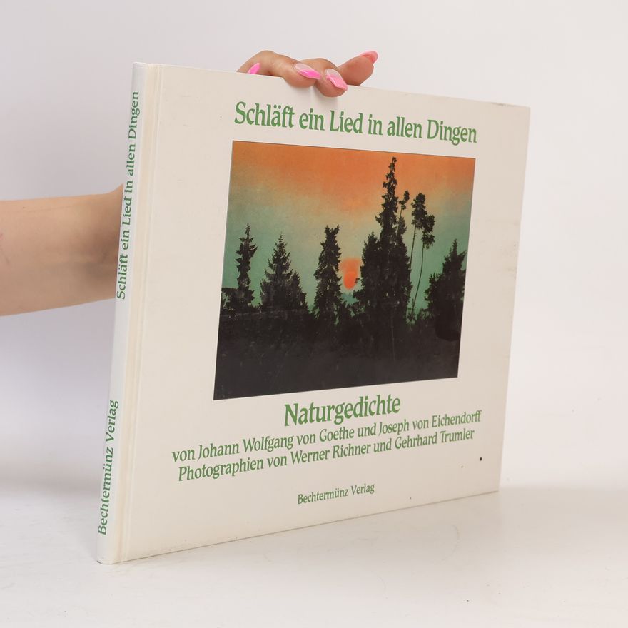 Werner Richner Schläft ein Lied in allen Dingen