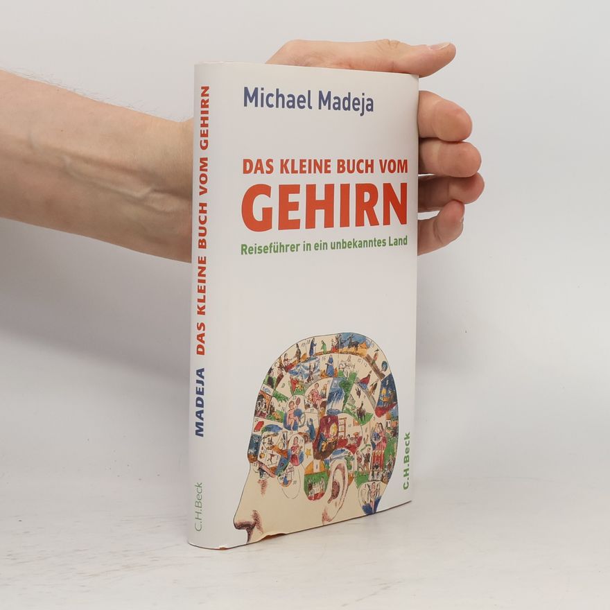 Michael Madeja Das kleine Buch vom Gehirn