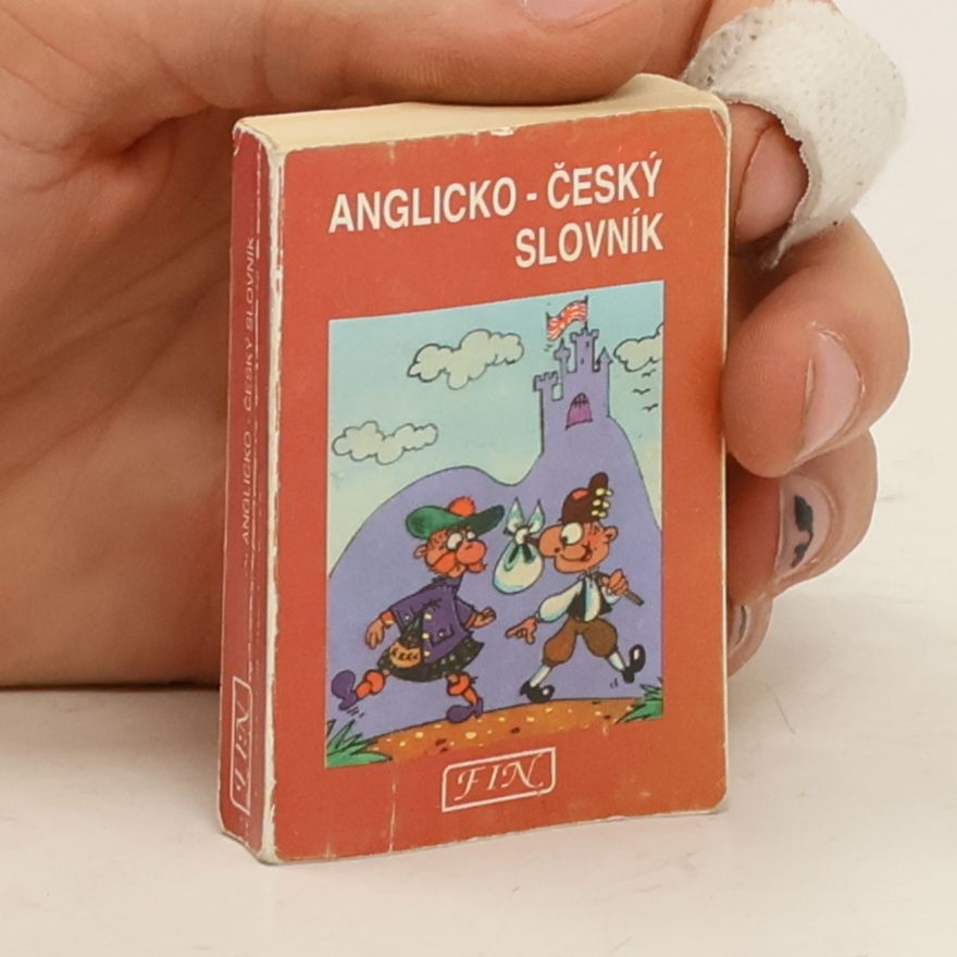 Autorenkollektiv Anglicko-český slovník